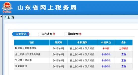 山东网上报税平台