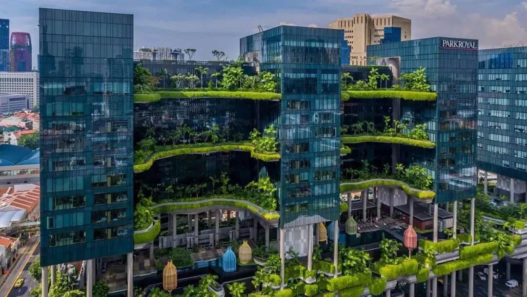 绿化建筑公司起名