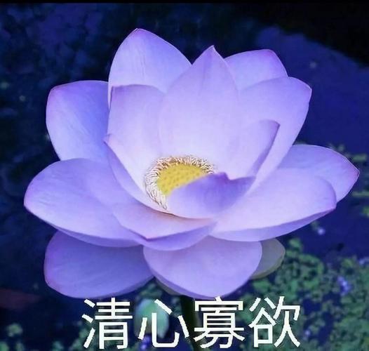悟空财税